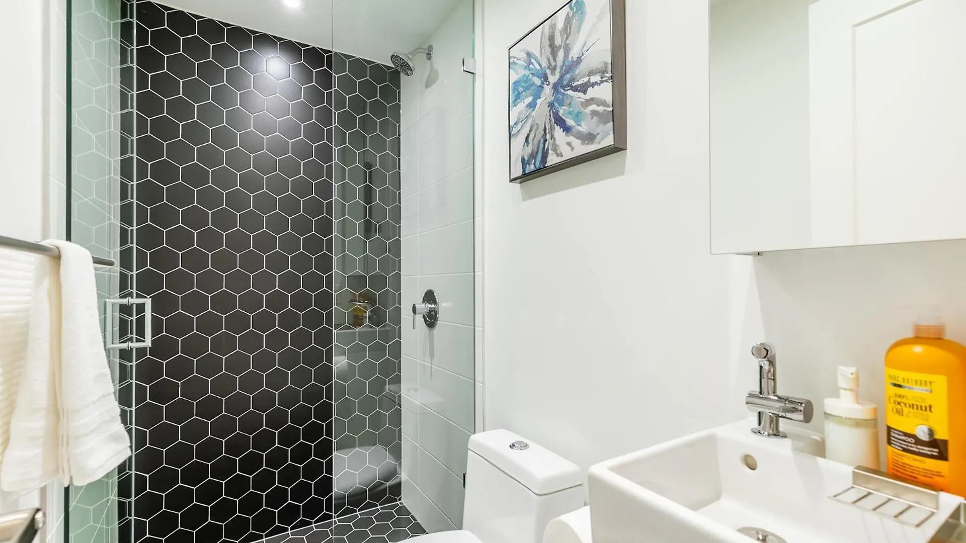 Modern 3Br Apartment Steps From High Park Toronto Canada